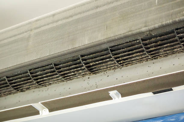 Best Best Air Duct Cleaning Company  in Melissa, TX